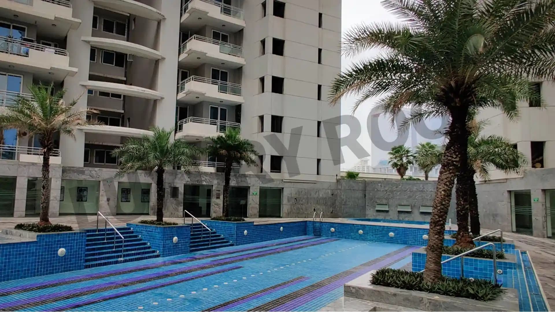Dlf The Belaire Swimming Pool Sector 54 Gurgaon