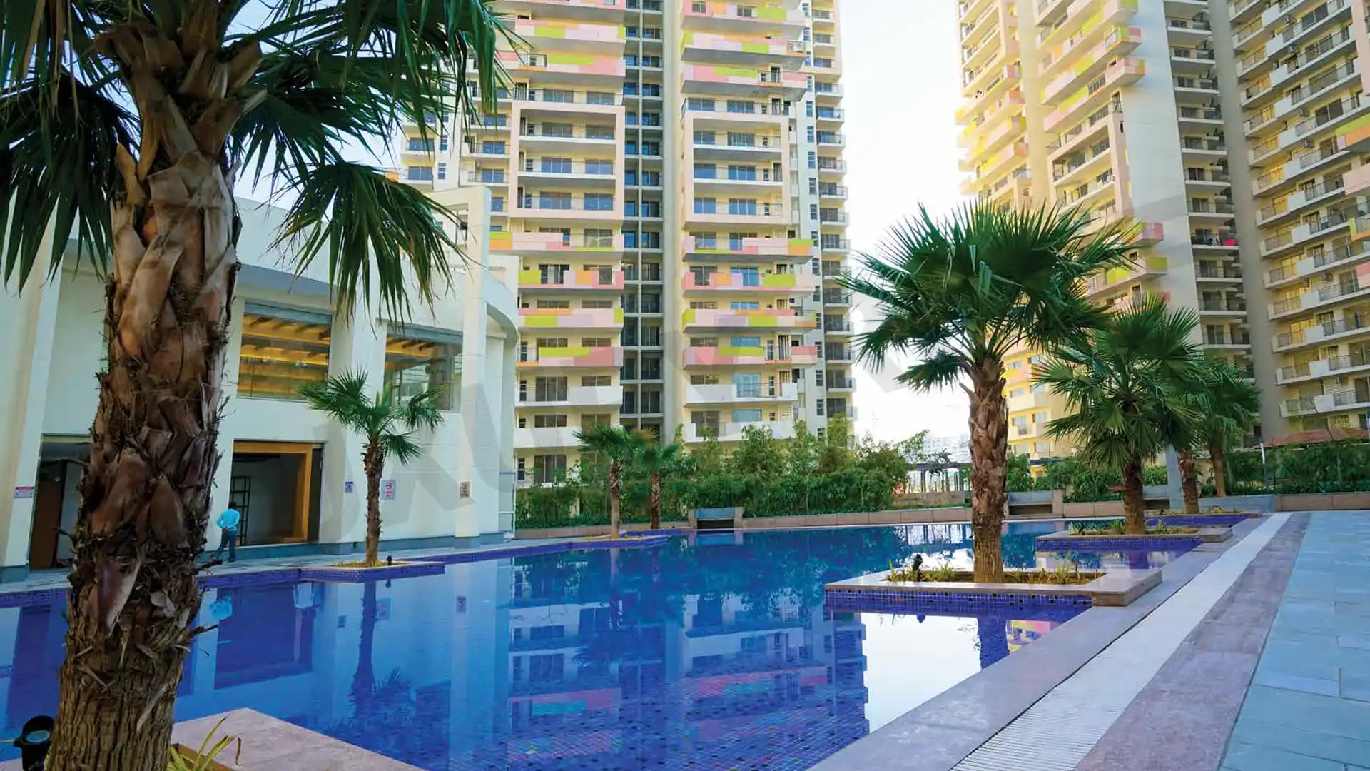 Bestech Park View Sanskruti Swimming Pool Sector 92 Gurgaon Bestech Park View Sanskruti Swimming Pool Sector 92 Gurgaon