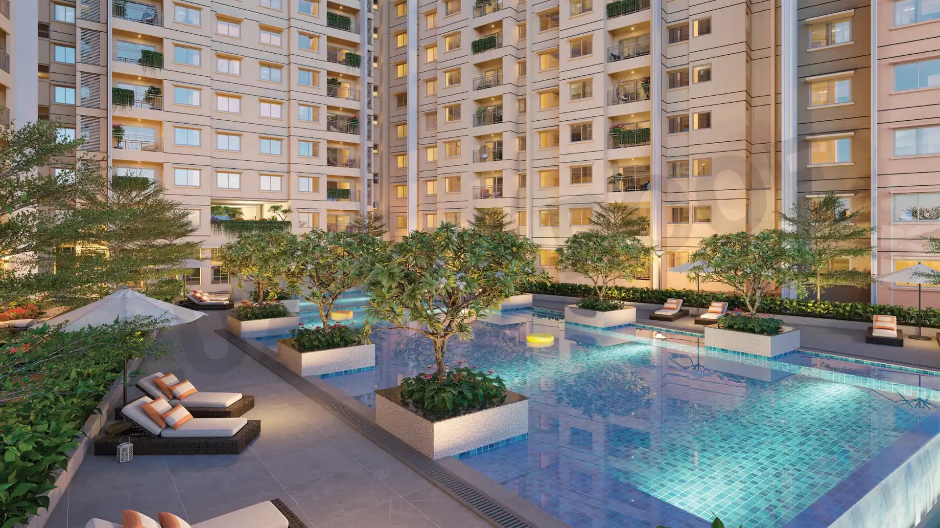 Century Novus Swimming Pool Jakkur Bangalore Century Novus Swimming Pool Jakkur Bangalore