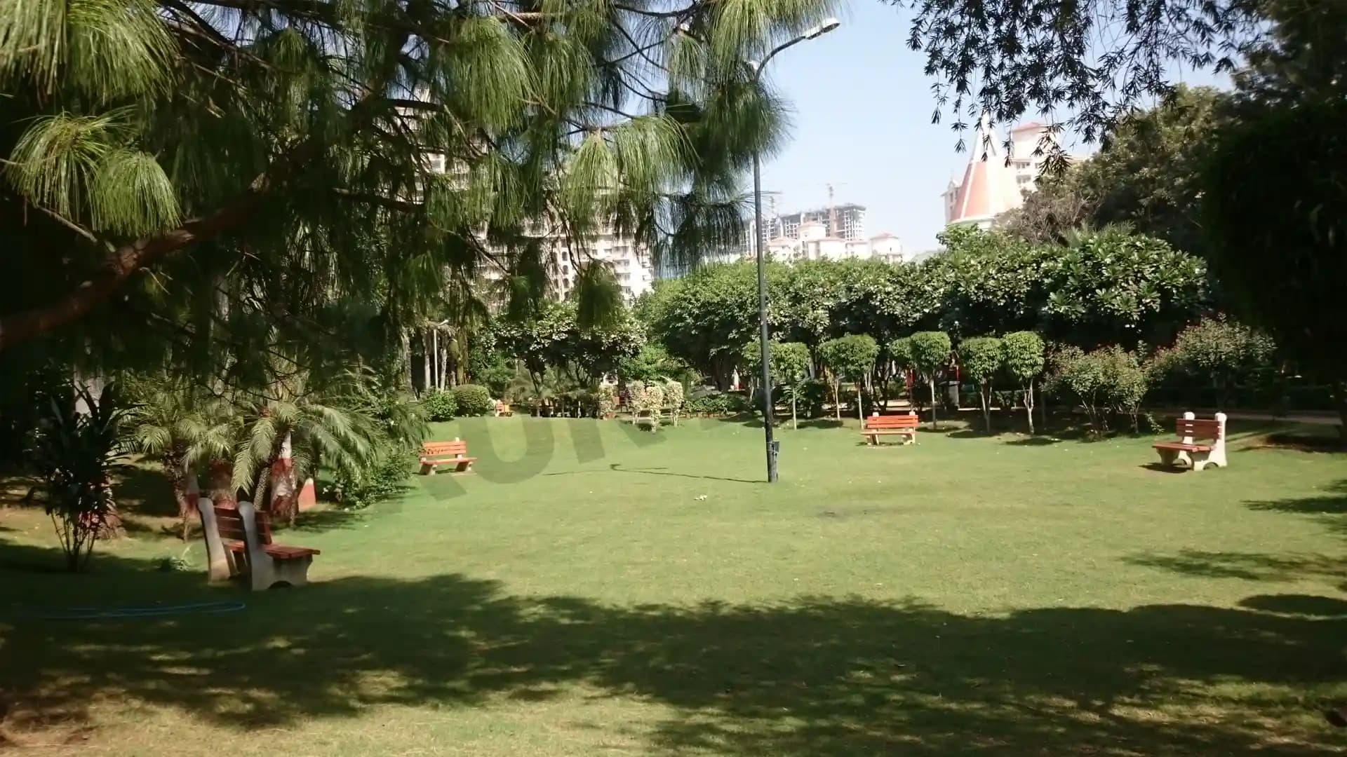 Dlf Exclusive Floors Garden Dlf Phase 5 Gurgaon Dlf Exclusive Floors Garden Dlf Phase 5 Gurgaon