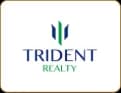 Trident Realty Projects