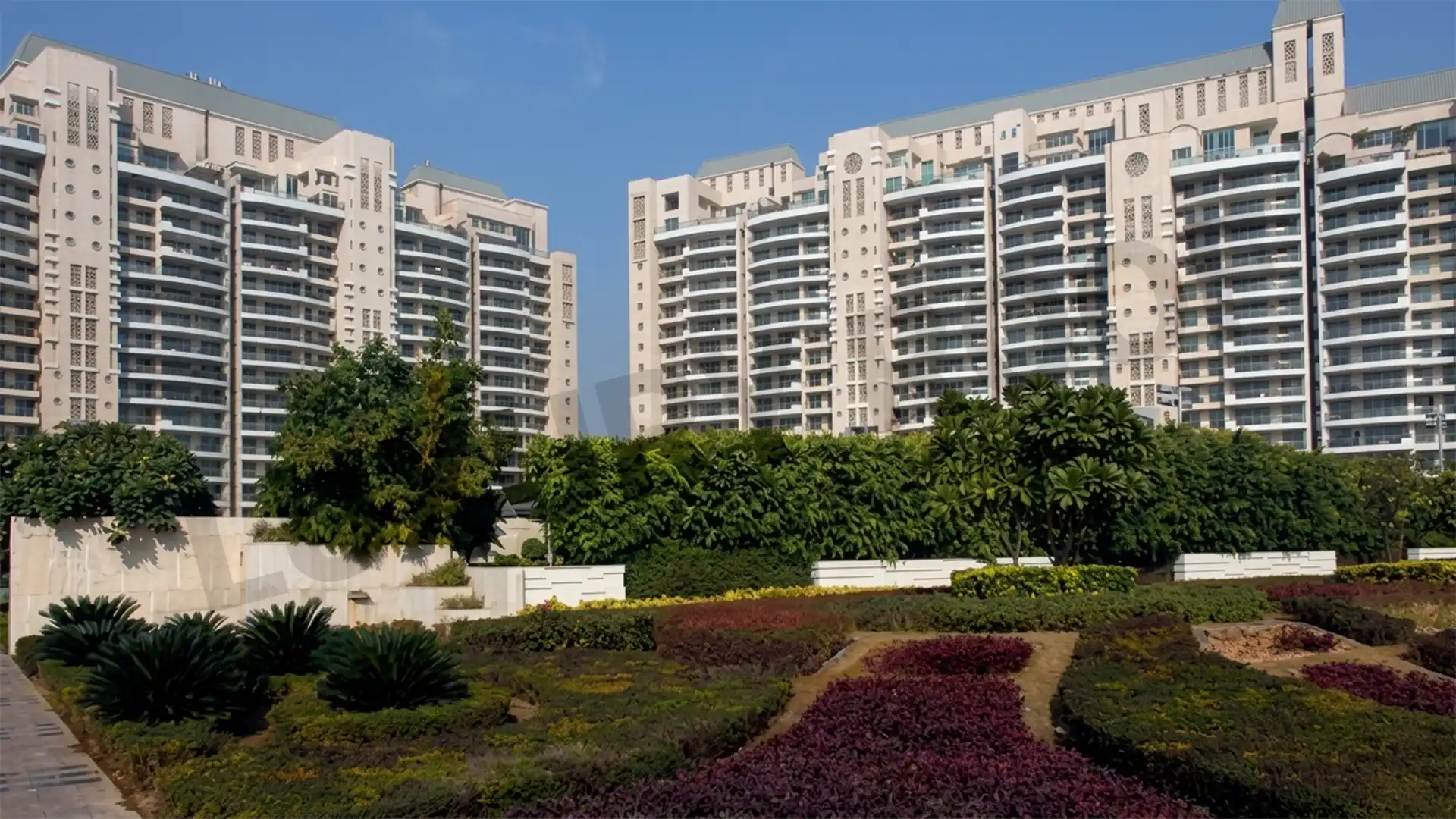 Dlf Aralias Elevation5 Sector 42 Gurugram Dlf Aralias Elevation5 Sector 42 Gurugram