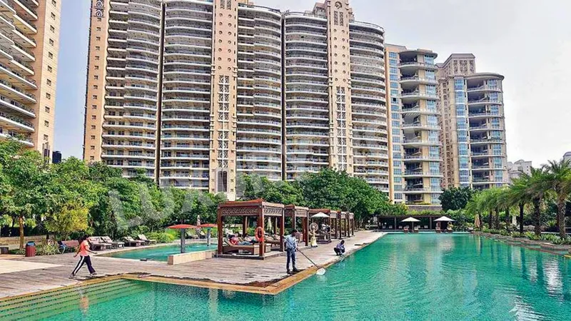 Dlf Magnolias Swimming Pool Golf Course Rd Sector 42 Gurugram