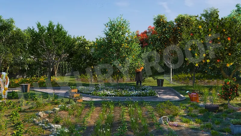 Nandi Meraki Community Garden Phase 1 Yelenahalli Begur Hobli Off Bannerghatta R